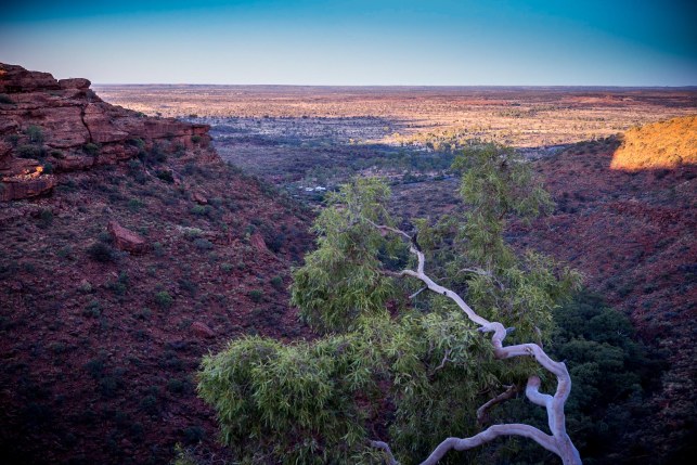 Kings Canyon Sunrise