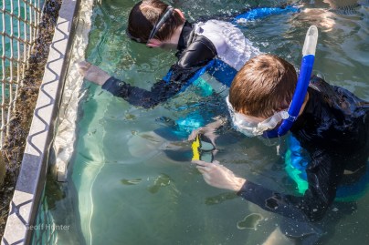 Boys in Shark Tank at Horizontals falls