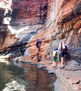 hadrail pool and the boys
