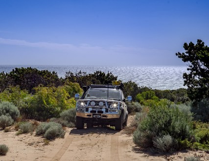 Boranup Forrest and darcy