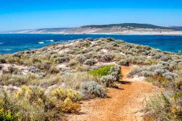 mouth of the murchison