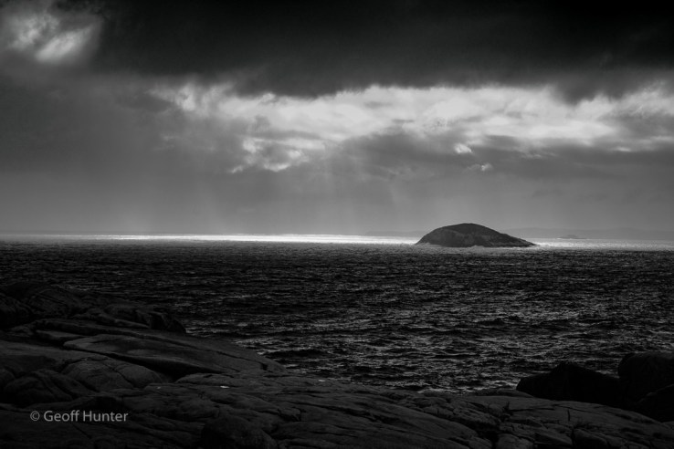 Albany monochrome light