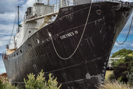 Beached Cheynes - long