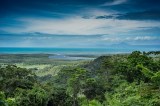 Daintree NP lookout