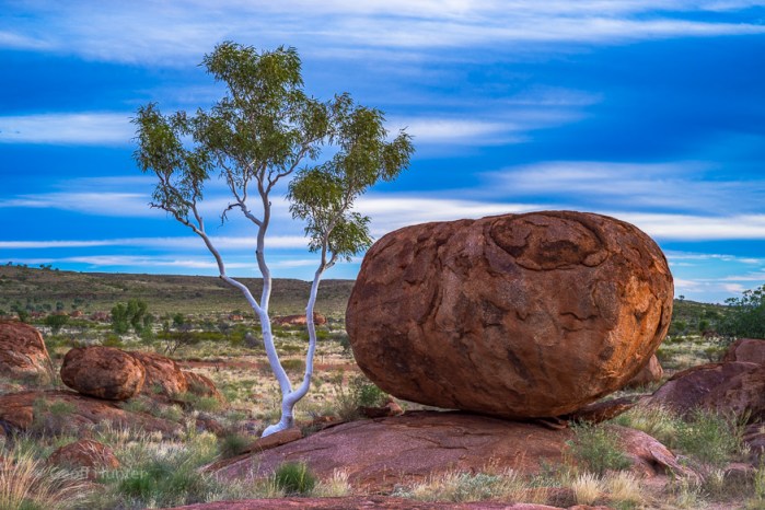 devils spot with gum