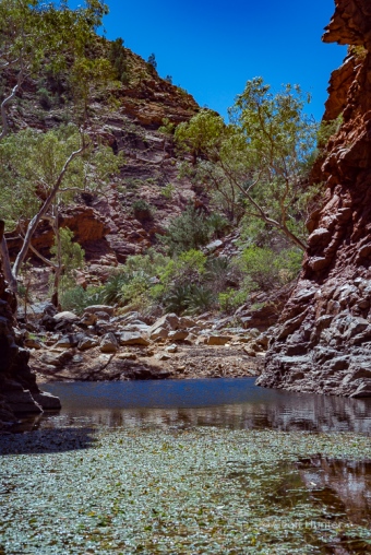 Serpentine gorge during the midday sun