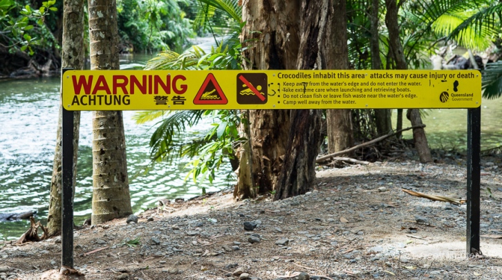 Crocodile Warning_