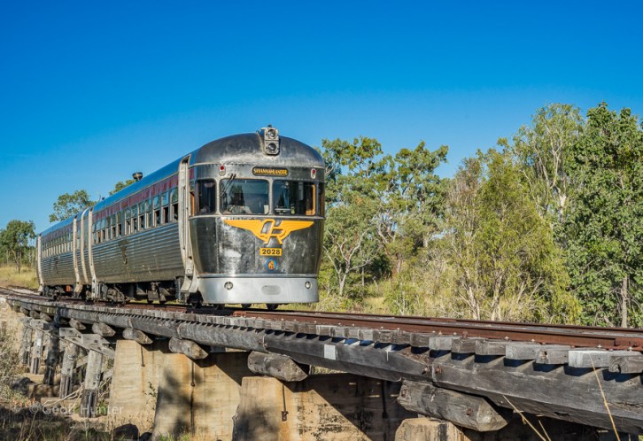 Savannahlander Train_