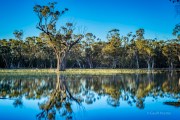 pilliga swamp land 2